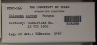 Image Associated With the Occurence